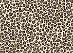 Bi-elastischer Dessousstoff Leopardenmuster matt