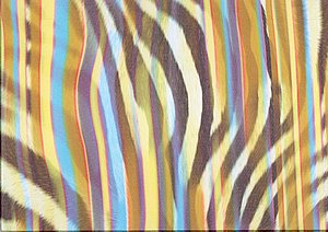 Pareo aus leichtem Stoff, Zebra - Design